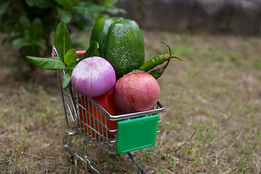 Fresh vegetables in shopping basket outdoors in the park.