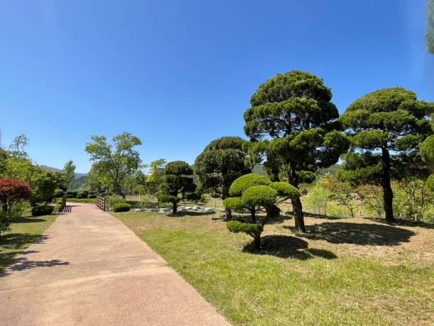 istock Botanical Garden with flowers and trees. 1493124414
