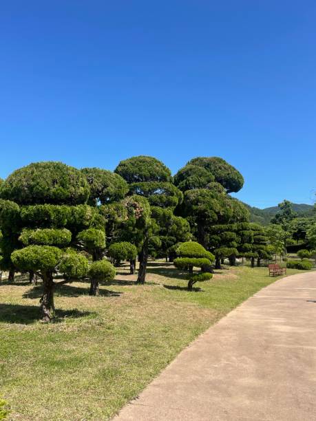 istock Botanical Garden with flowers and trees. 1493124597