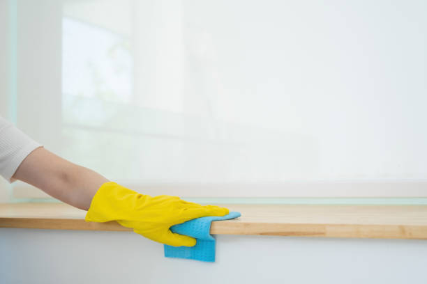 istock Woman, housewife wiping table with cloth and using spray. 1493124792