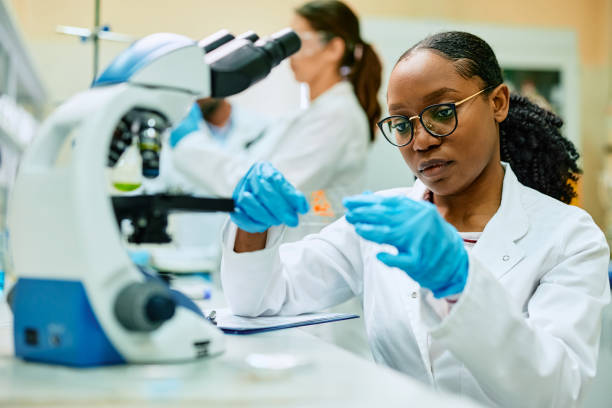 istock Black female biochemist examining microscope slide during research in laboratory. 1493125044