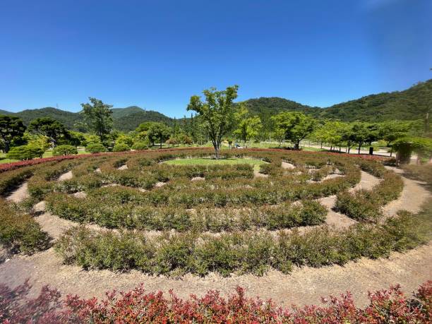 istock Botanical Garden with flowers and trees. 1493125145