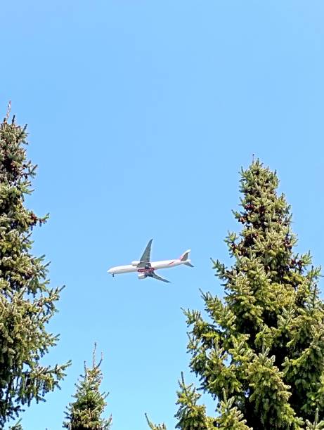 istock the plane is flying in the sky over some trees in the park 1493126885
