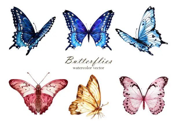 Vector illustration of Set of Butterfly watercolor vector elements design