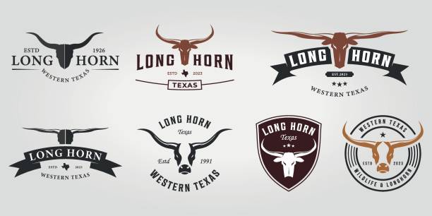 zestaw zestaw ikona logo longhorn western vintage ilustracja wektorowa, pakiet krowy longhorn cowboy vintage skull - texas longhorn cattle bull horned cattle stock illustrations