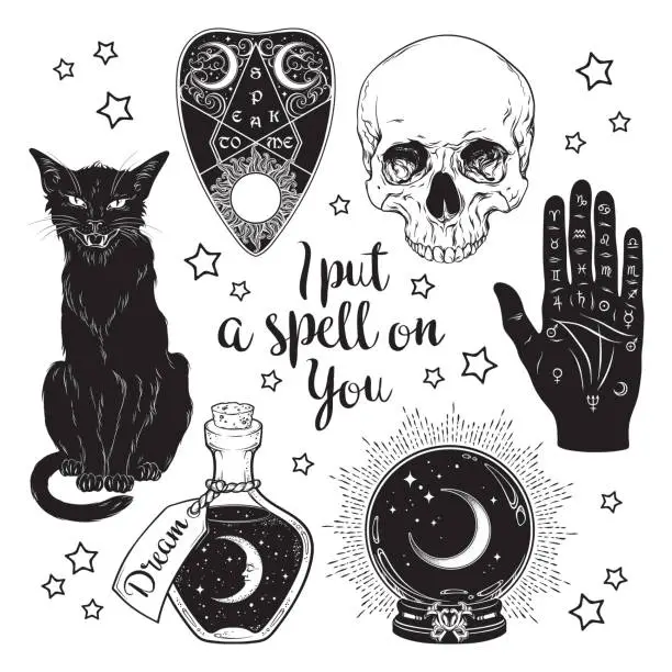 Vector illustration of Magic set - planchette, skull, palmistry hand, crystal ball, bottle and black cat hand drawn art isolated. Ink style boho chic sticker, patch, flash tattoo or print design vector illustration.