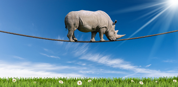 Huge white rhino (rhinoceros) walking on a steel cable (rope), above a green meadow with daisy flower, against a clear blue sky with clouds, sunbeams and copy space.