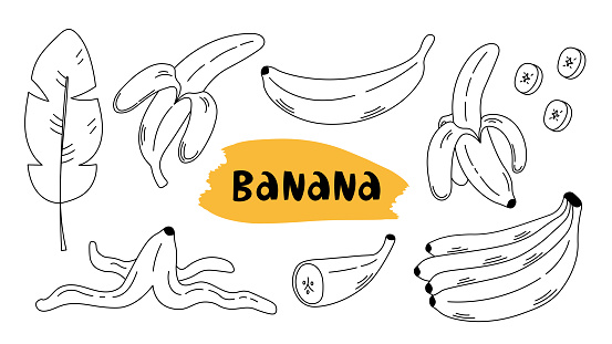Hand drawn collection with banana line art elements. Leaf, peel, half, peeled, slice sketches. Outline vector illustration