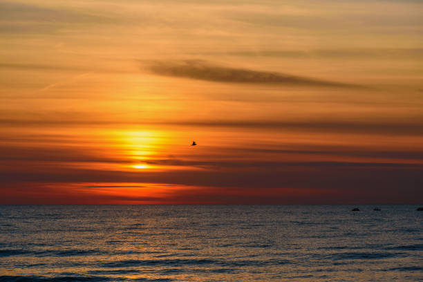 istock Spectacular bright golden sunset over Baltic sea 1493135098