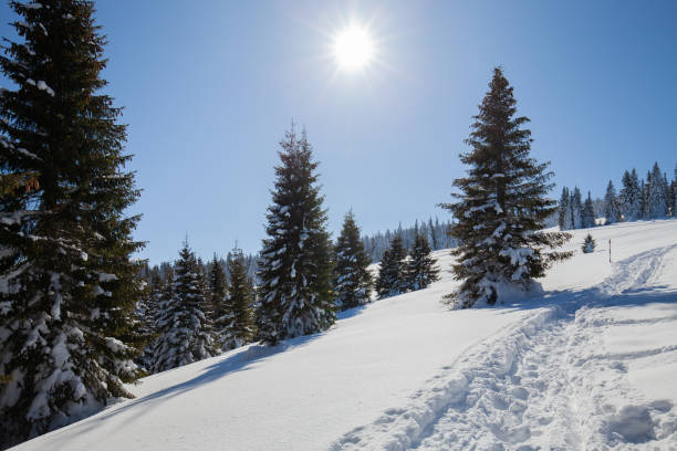 istock Paltinis Sibiu winter Romania Transylvania 1493135908