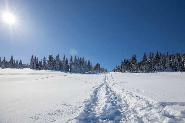 istock Paltinis Sibiu winter Romania Transylvania 1493135957