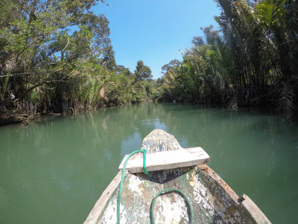 istock Front Traditional skiff bay boat on empty shallow river 1493139973