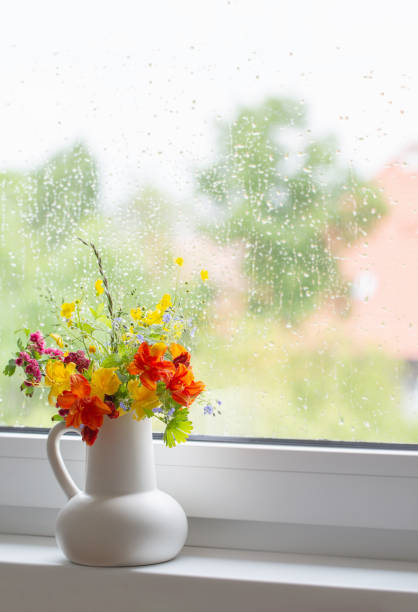istock summer flowers in white jug on windowsill 1493140048