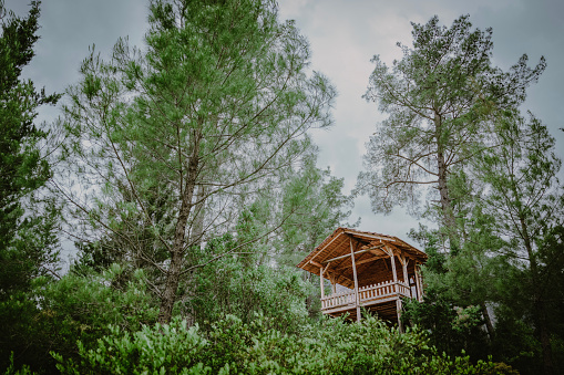 Small tree house in the forest