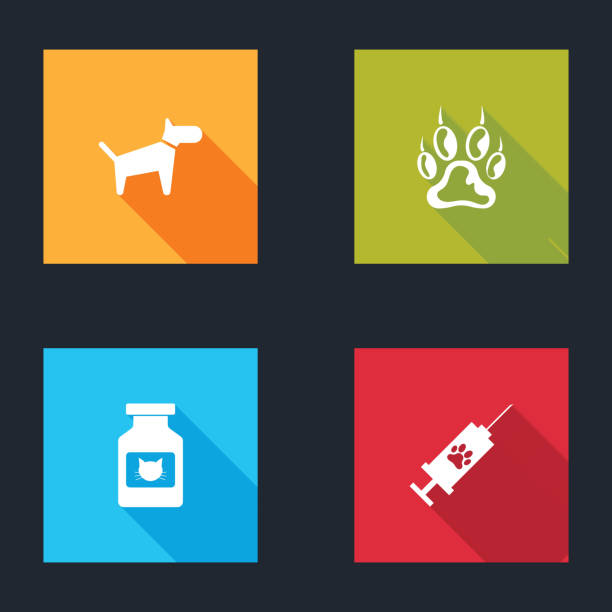 zestaw pies, odcisk łapy, butelka leku dla kota i strzykawka z ikoną szczepionki dla zwierząt domowych. wektor - syringe silhouette computer icon icon set stock illustrations