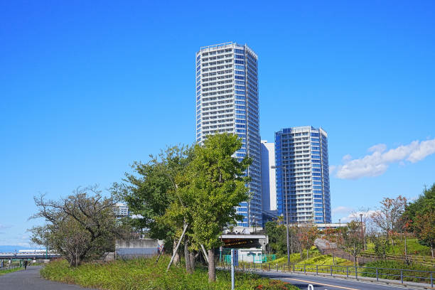 istock Blue sky and high-rise apartment 1493142051