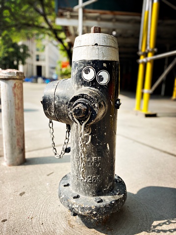 Fire hydrant with Googly Eyes