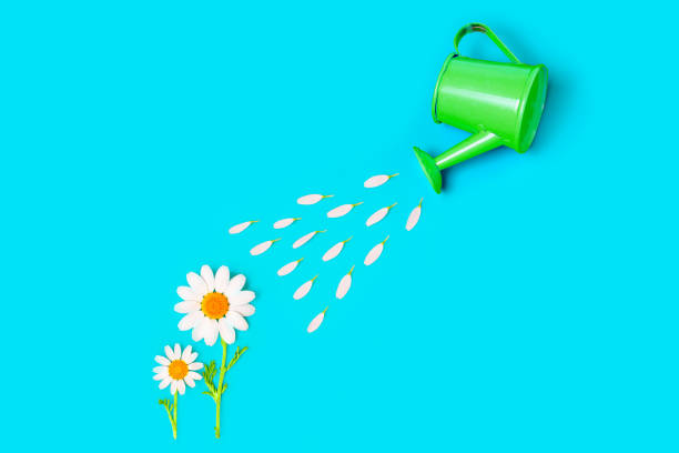 istock Tiny Daisies and a Toy Watering Can Flat Lay 1493143312