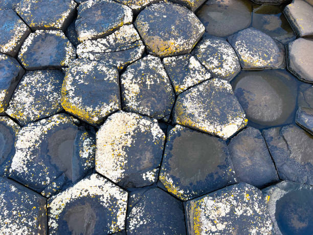 istock Giant's Causeway in Northern Ireland 1493148242