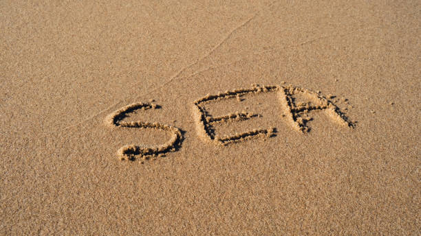 istock Text SEA handwritten in sand surface. Blue ocean wave washing away message at the beach. Summer holidays writing concept 1493149461