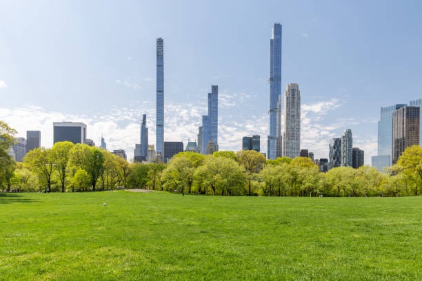 istock Manhattan skyscrapers and Central Park 1493149504
