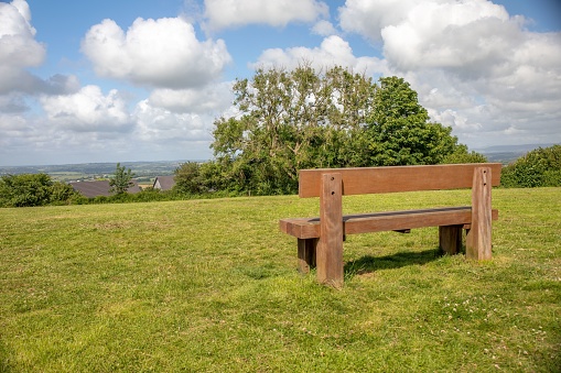 This image features a wooden bench in the foreground of a lush green field