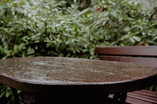 Drops of rain fall on wooden terrace in green garden outdoors. Empty wooden table against summer rain weather. Background for product or object montage template.
