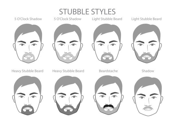 ilustrações, clipart, desenhos animados e ícones de conjunto de barba e bigode de barba e bigode com nome estilo de texto homens ilustração do rosto cabelo facial. retrato cinza preto do vetor - men human hair beautiful chin