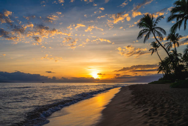 istock scenery of kaanapali beach in maui 1493155126