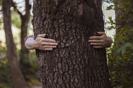 Nature lover hugging trunk tree with green musk in woods forest. Green natural background. Concept of people love nature and protect from deforestation or pollution or climate change