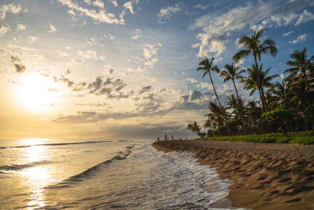 istock scenery of kaanapali beach in maui 1493155231