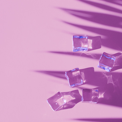 Ice cubes and palm leaves shadow on purple-pink background with copy space.
