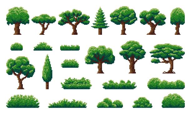 ilustraciones, imágenes clip art, dibujos animados e iconos de stock de bosque de píxeles y árboles de la selva, arbustos, plantas de hierba - grass branch wealth forest