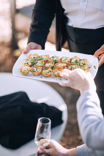 Savoury Filled Pastry Canapés being served and enjoyed outdoors, South Africa.