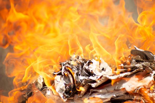 istock a close up of fire with an animal on it's back 1493162911