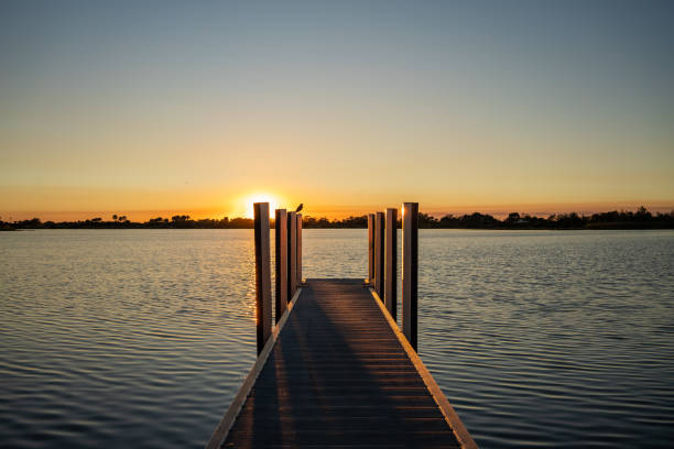 istock Sunset at the Lake 1493164324