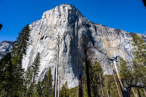 A scenic view of El Capitan Mount in Yosemite Park, California on a sunny day