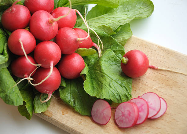 bunch of radishes stock photo