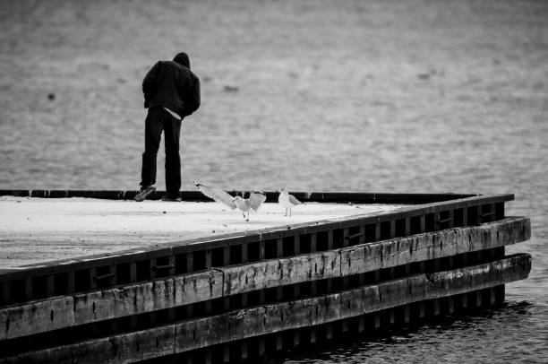 istock Waterfront sea shoreline wooden quay 1493166996
