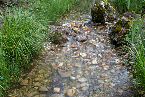 vienna, austria, 13 may 2023: freshwater flow in the middle of the green in the afternoon. (frozen action) spring in green grass. stock images, selective focus