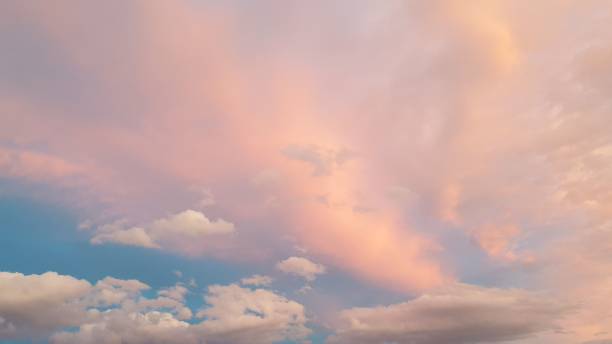istock Sky filled with white, fluffy clouds at a soft pink sunset 1493170828
