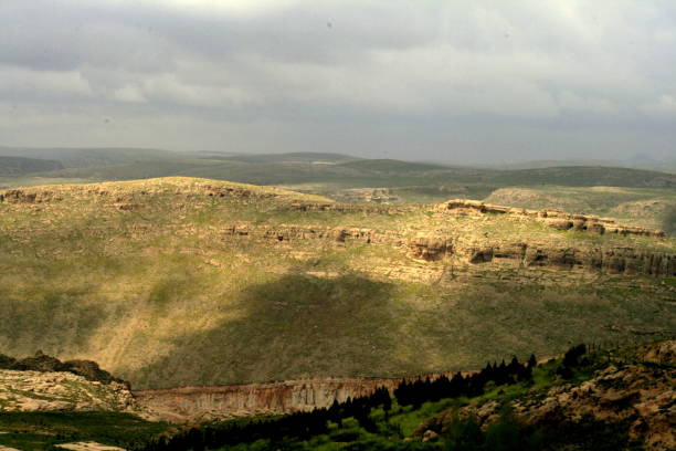 View of Mesopotamia2