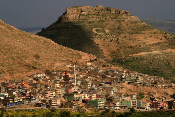 View of Mesopotamia7