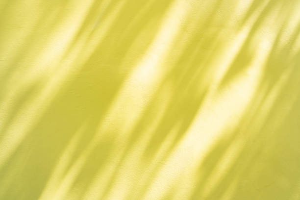 istock The Natural shadow overlay on yellow colored grunge wall concrete texture background. Textures Light reflection from the window. 1493174623