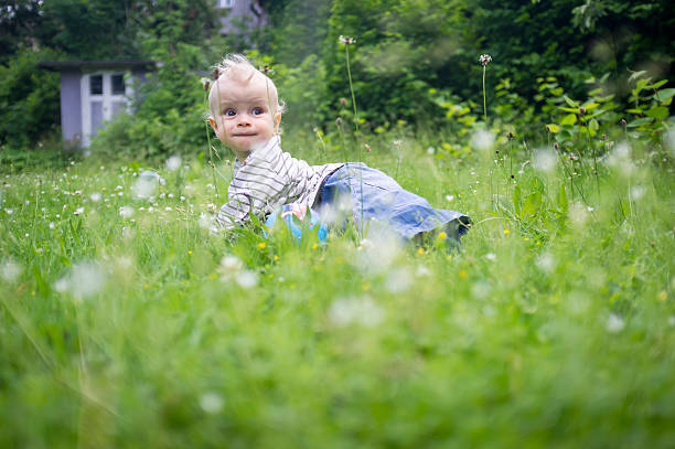 weibliches baby krabbeln im hohen gras - @jackstar stock-fotos und bilder