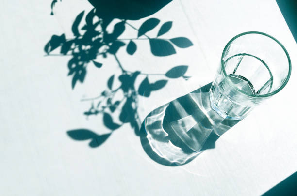 istock Shadows from an empty glass and leaves. Sharp shadows on a white background. 1493176872