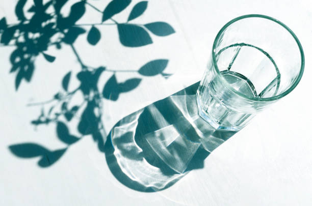 istock Shadows from an empty glass and leaves. Sharp shadows on a white background. 1493176891