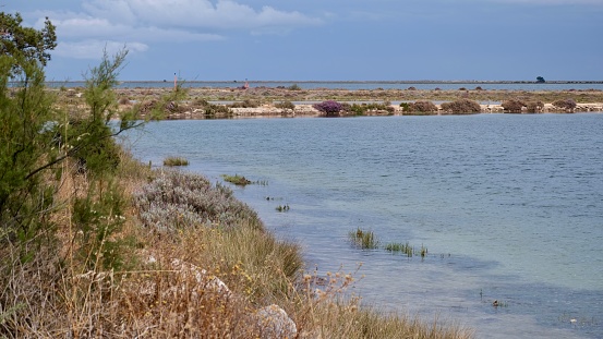 Wetland of international importance, the Ria Formosa is a maze of canals, islands, marshes and barrier islands, stretching 60 km along the Algarve coast.