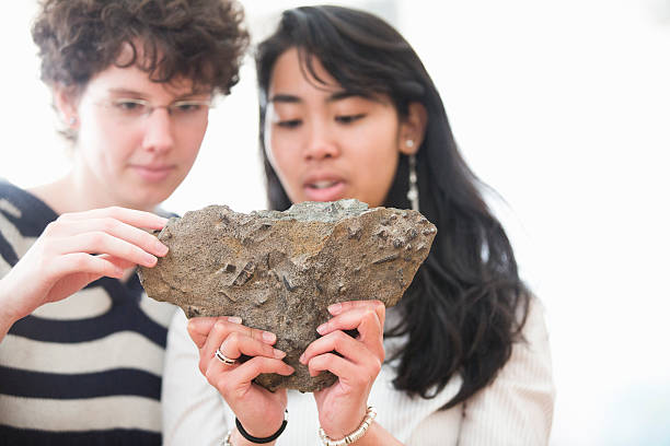 Students working in geology lab  geology stock pictures, royalty-free photos & images