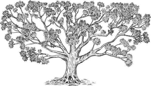 Vector illustration of Beautiful family tree with many elements.